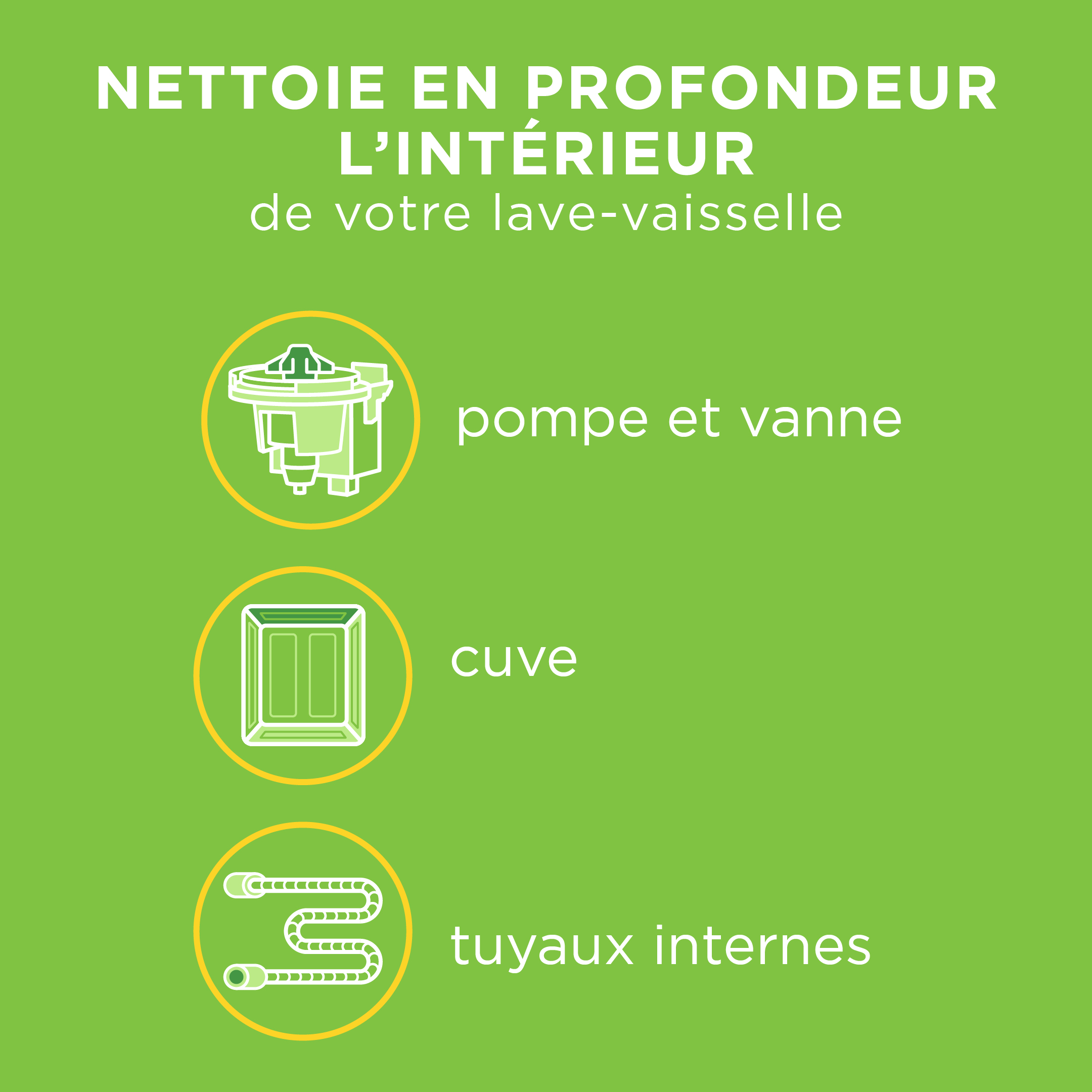 Dishwasher Cleaner - FR1
