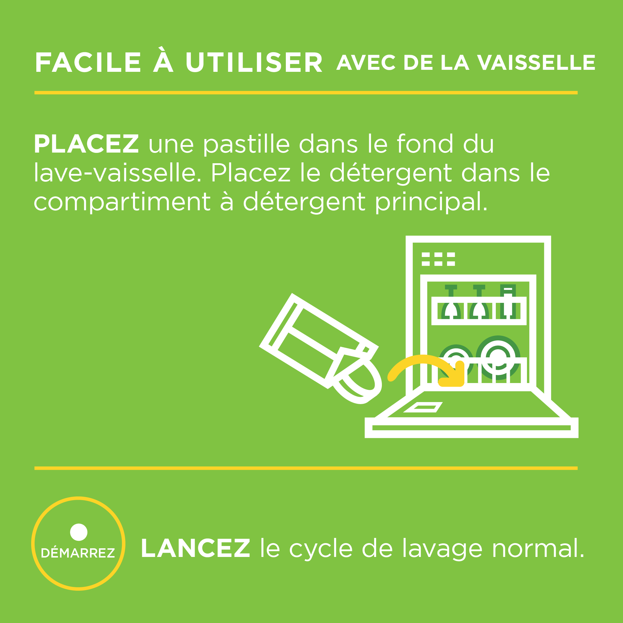 Dishwasher Cleaner - FR3B